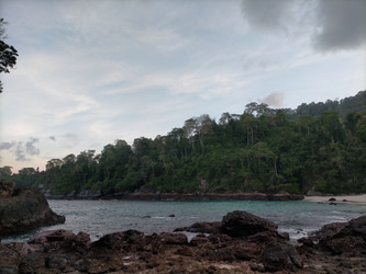 Similar image 22532709