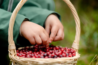 Similar image 22578404