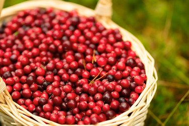 Similar image 22578405