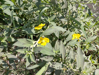 Similar image 22532778