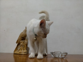 Similar image 22532798