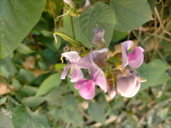 Similar image 22532799