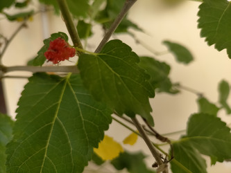 Similar image 22532821