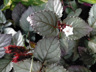 Similar image 22532845