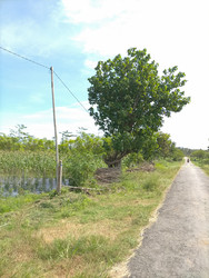 Similar image 22532847