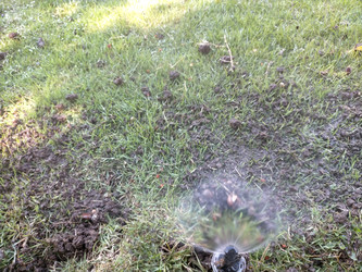 Similar image 22532868