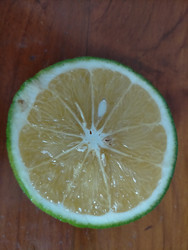 Similar image 22532915