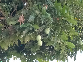 Similar image 22532937