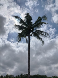 Similar image 22532958