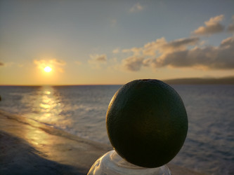 Similar image 22533004