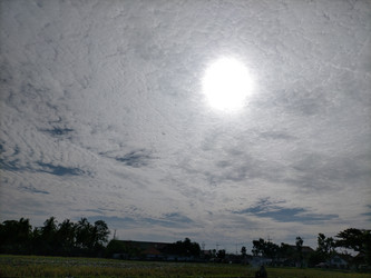 Similar image 22533050