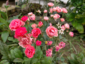 Similar image 22533091