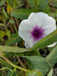 Similar image 22533114