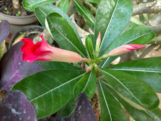 Similar image 22533115