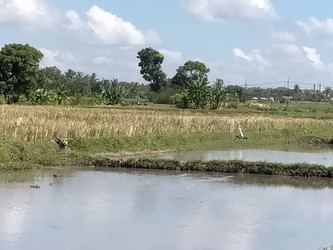 Similar image 22533184