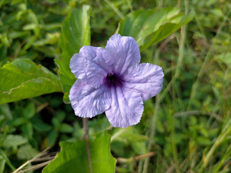 Similar image 22533207