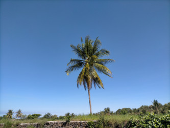 Similar image 22533208