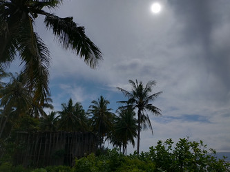 Similar image 22533229