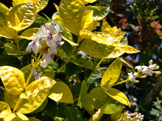 Similar image 22533260