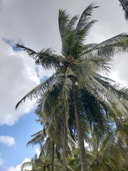 Similar image 22535690