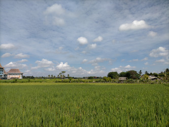 Similar image 22535737