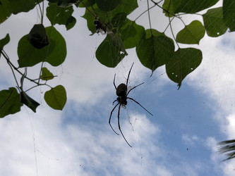 Similar image 22535750