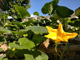 Similar image 22535751