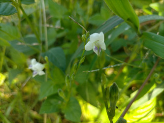 Similar image 22535766