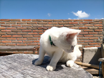 Similar image 22535795