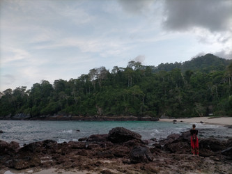 Similar image 22535796