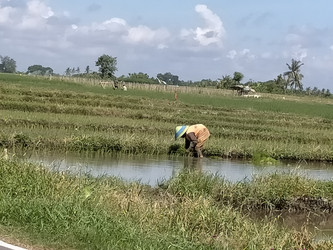 Similar image 22535797