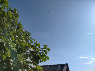 Similar image 22535825