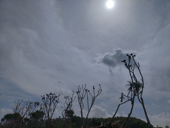 Similar image 22535826