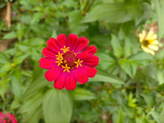 Similar image 22535871