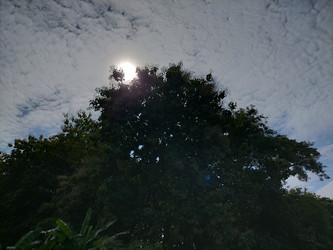 Similar image 22535887