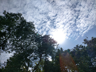 Similar image 22535917