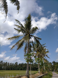 Similar image 22535945