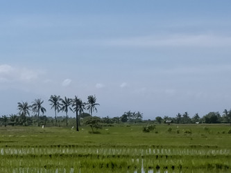 Similar image 22535975