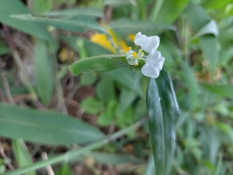 Similar image 22535990