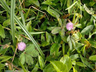 Similar image 22536021