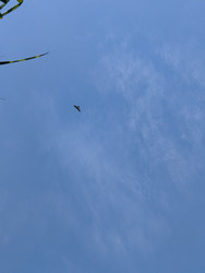 Similar image 22536037