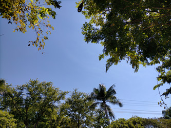 Similar image 22536065