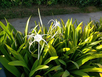 Similar image 22536082