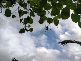 Similar image 22536096