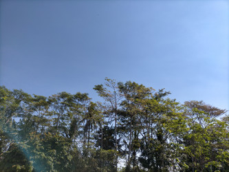 Similar image 22536141