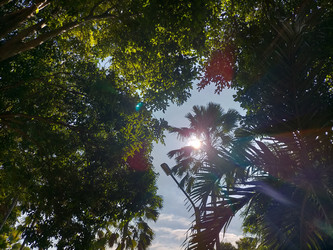 Similar image 22536155