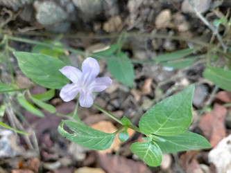 Similar image 22536156