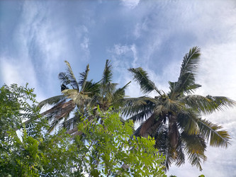 Similar image 22536232