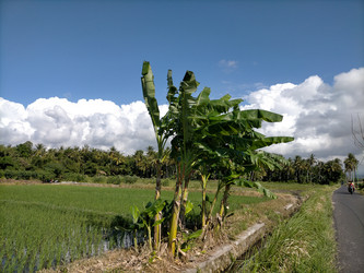 Similar image 22536244