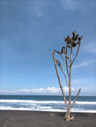 Similar image 22536245